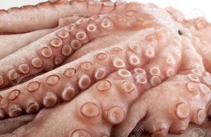 Щупальца гигантского осьминога свежемороженные, вес упаковки 3 кг, глазури 0%, Испания