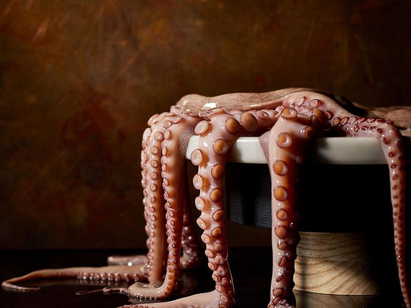 Щупальца гигантского осьминога свежемороженные, вес упаковки 3 кг, глазури 0%, Испания